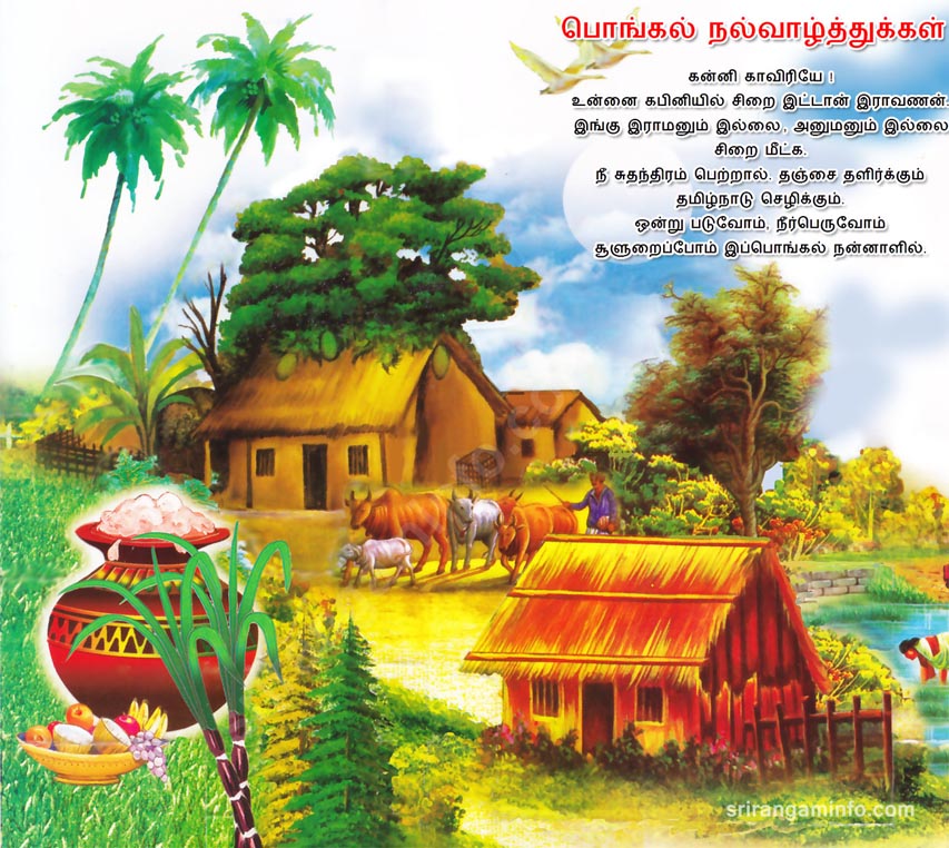 Pongal greetings